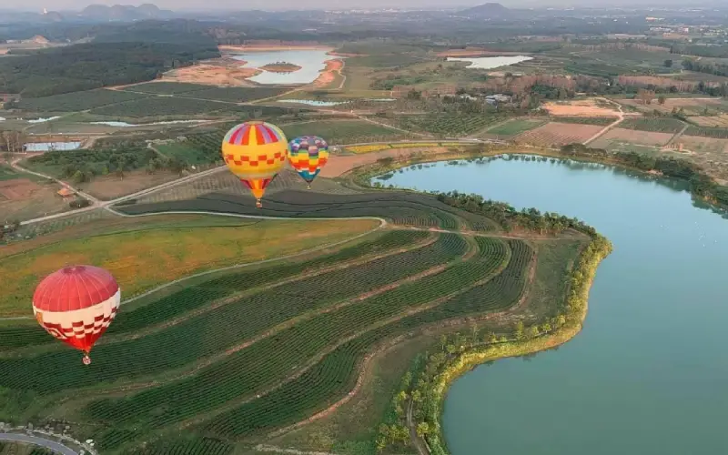 Balões colorem e encantam os campos
