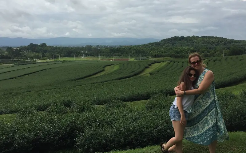 Céu azul e verde criam fotos inesquecíveis