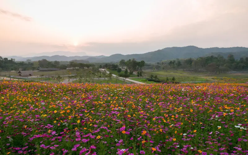 Do jardim, é possível admirar o nascer do sol e as colinas ao fundo