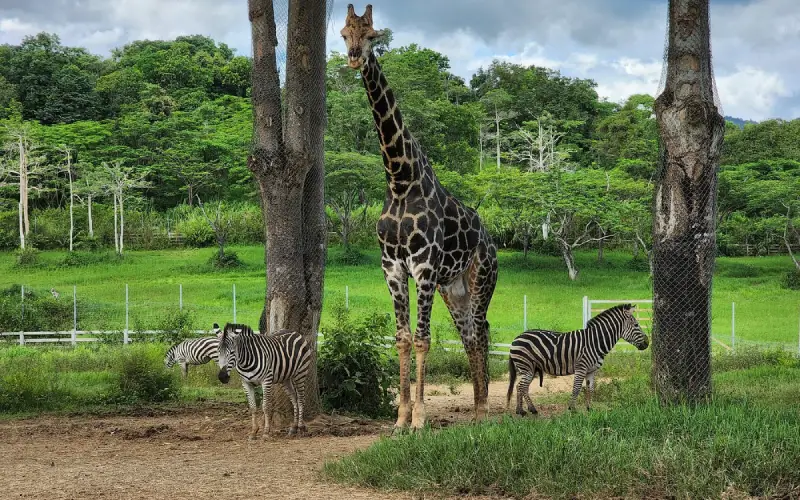 Animais amigáveis alegram visitantes de todas idades