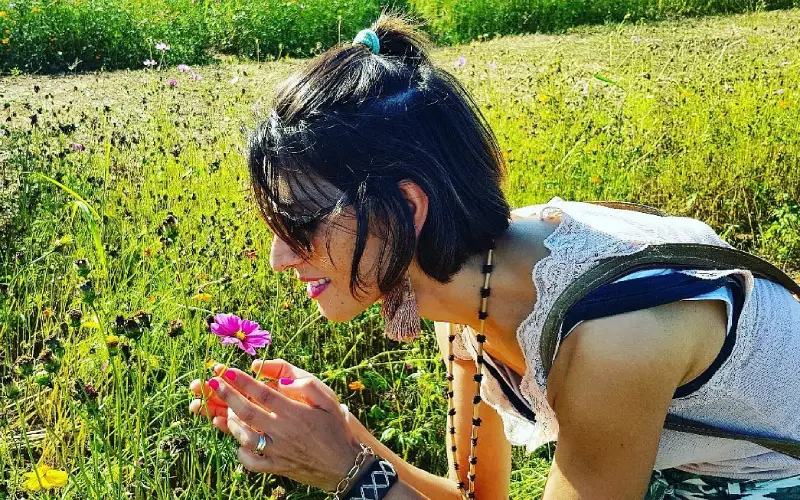 Capture foto perfeita nos jardins floridos ao sol