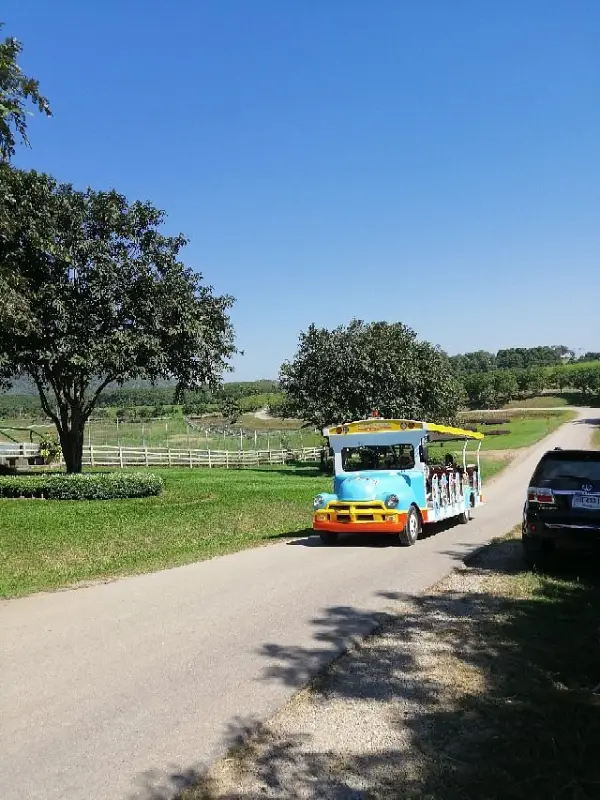 Bonde elétrico facilita passeio pelas atrações