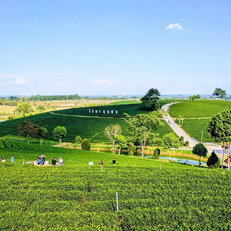 Turistas relaxam em Choui Fong entre colinas