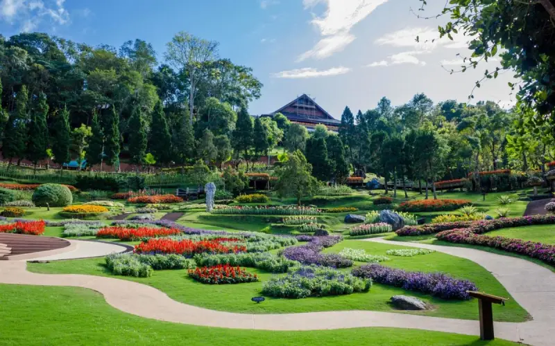 Turistas curtem flores e ar puro em Doi Tung