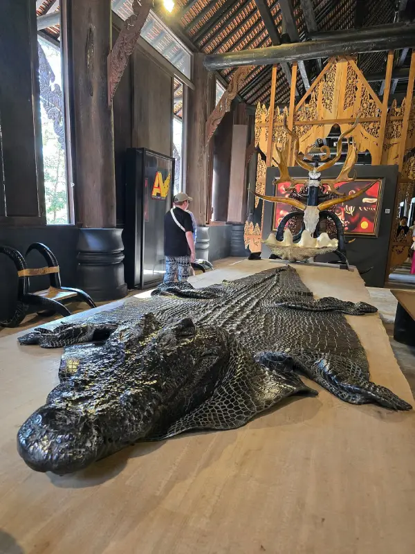 Viajantes visitam e fotografam exposição de relíquias