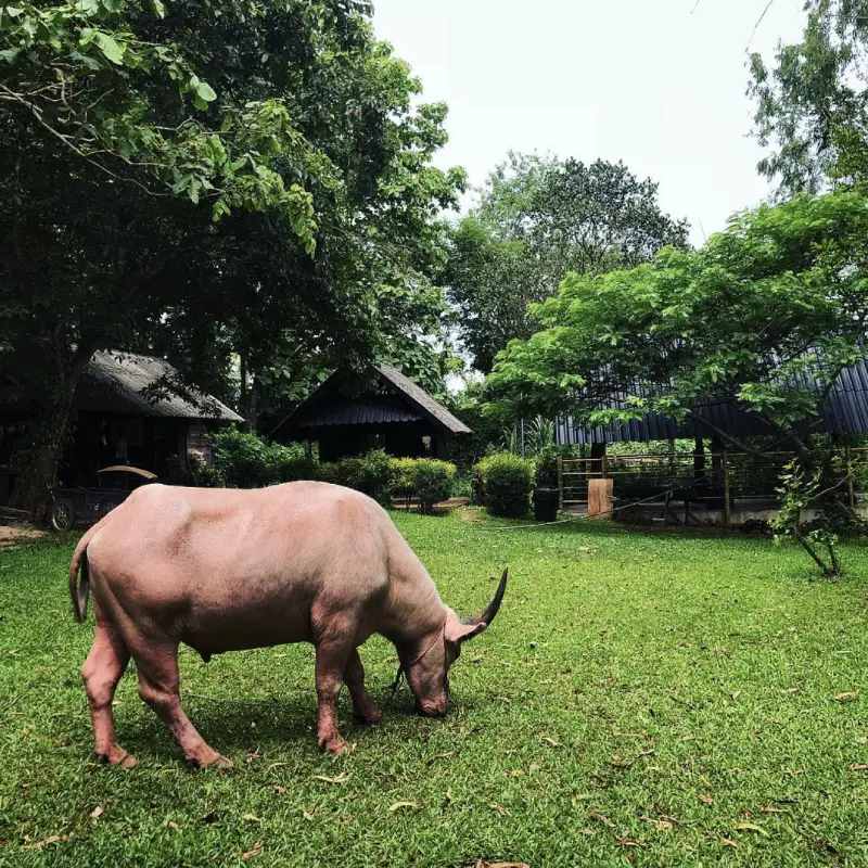 Visitantes vivenciam as maravilhas do Jardim de Esculturas