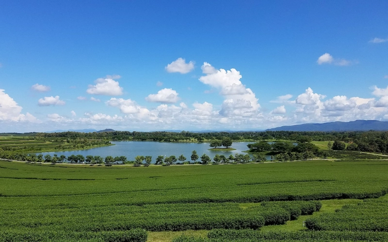 Visitantes participam de piqueniques, fotos e jogos