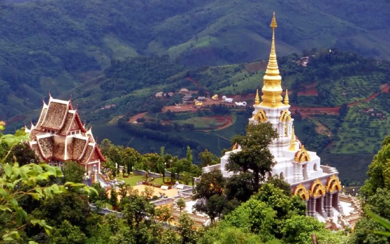 Visitar colinas de chá, provar e tirar fotos