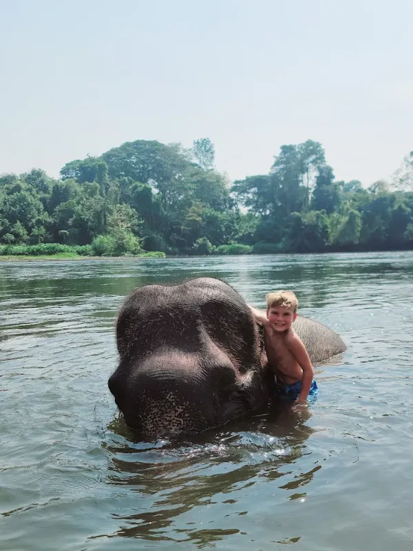 ElephantsWorld resgata elefantes em toda a Tailândia