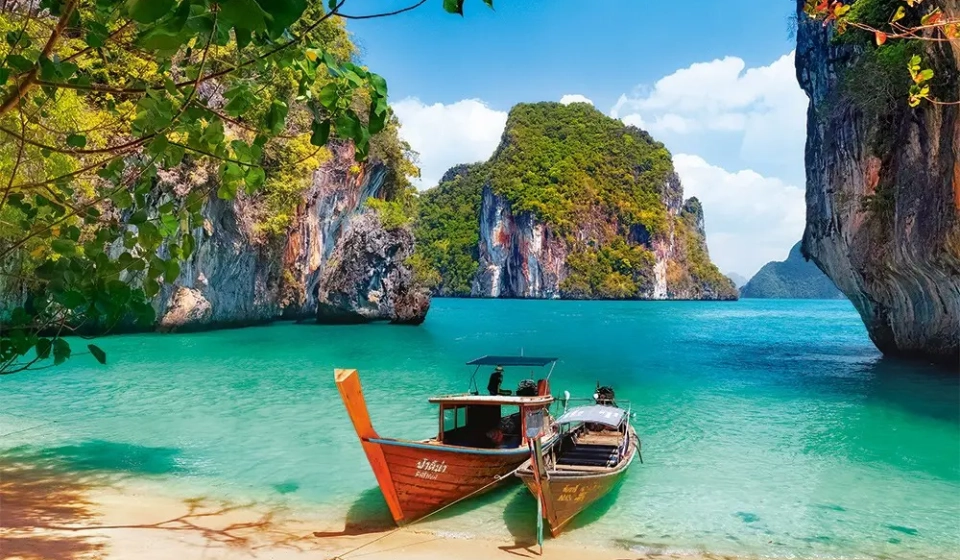 ko phi phi lee