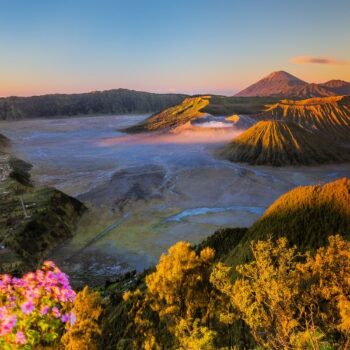 Bromo
