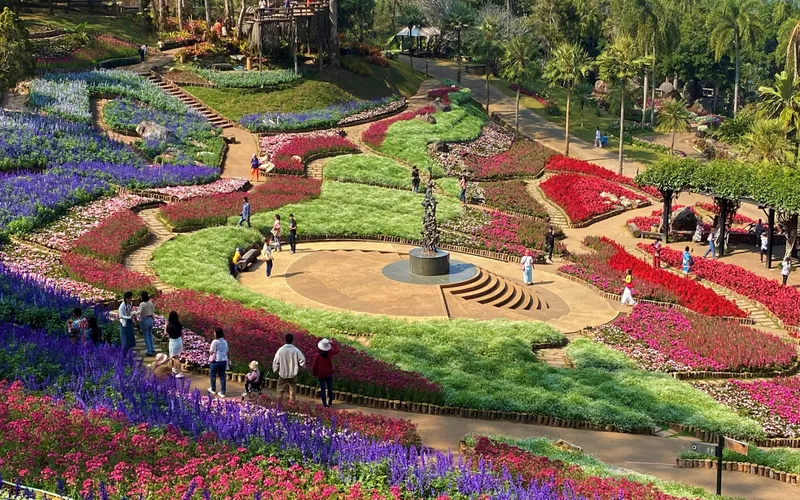 Festival de janeiro destaca flores vermelhas e cultura local