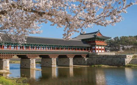 Corea del Sur y Japón en 12 días.