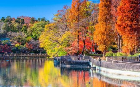 Japón en colores de Otoño.