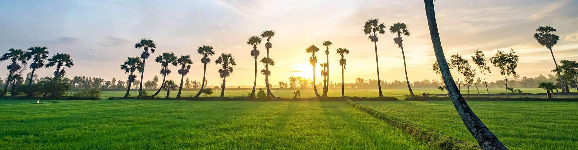 Delta del Río Mekong
