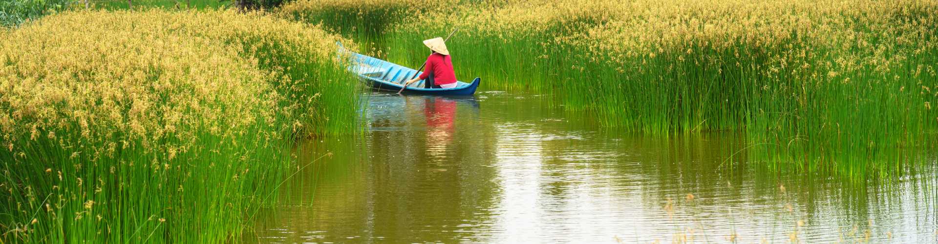 Termos e condições gerais