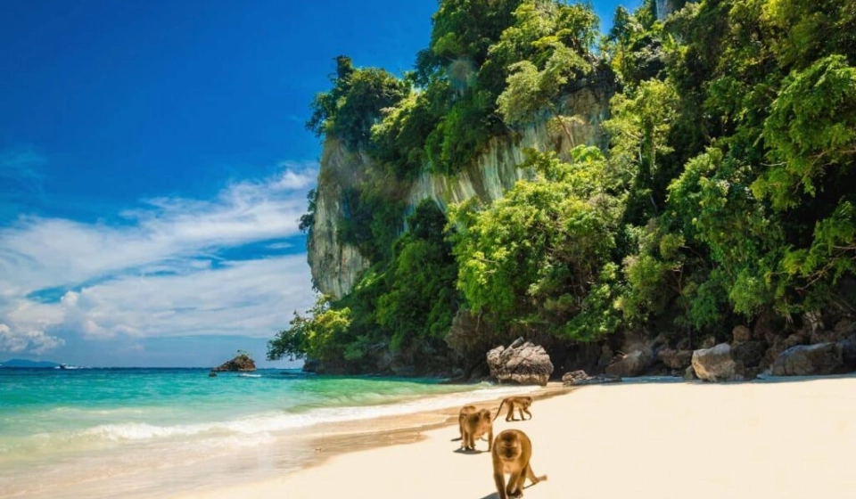Viagem para Monkey Beach
