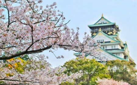 Japão Colorido: Temporada das Cerejeiras em Flor