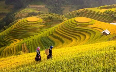 Viaje a Vietnam Camboya y Laos en 20 días.