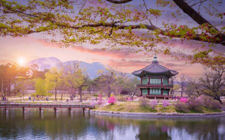 Viaje a Japón y Corea del Sur: Cerezos en Flor con Guía en Español.