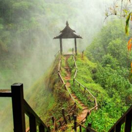 Bolaven Plateau