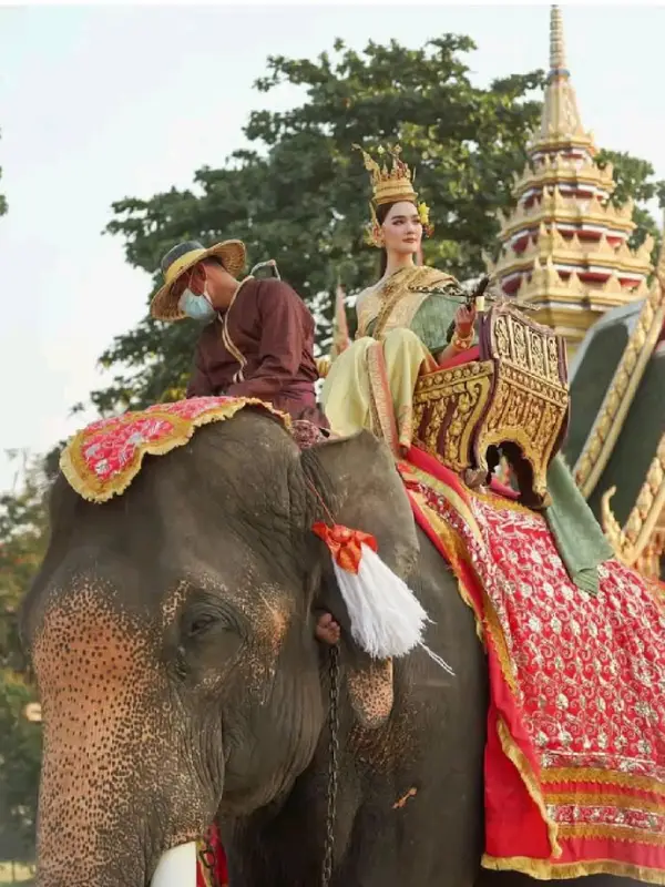 Elefantes são reverenciados na Tailândia