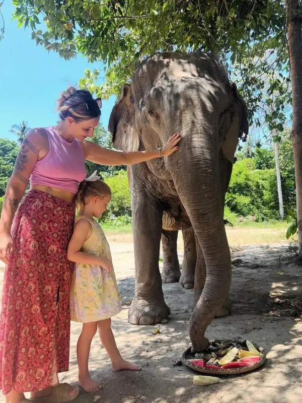 Tailândia protege elefantes e seus habitats