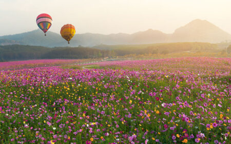 Tailândia Cingapura Malásia em 15 dias.