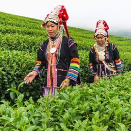 Dos mae salong tribu de la colina