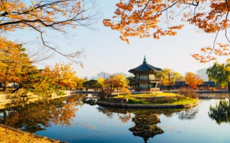 Outono Dourado no Japão e Coreia do Sul, grupo em português.