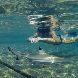 Mergulho na Baía de Hin Wong