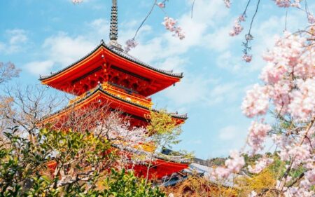 Japón colorido: Tour Especial de primavera.