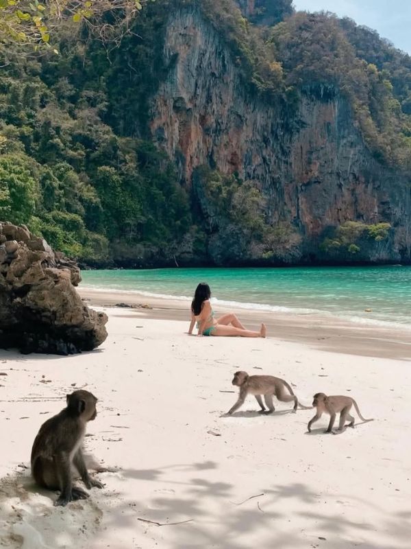 monkey beach