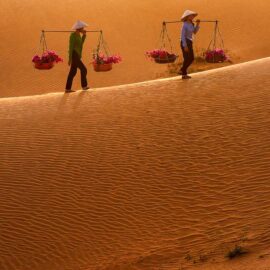 Dunas de arena roja
