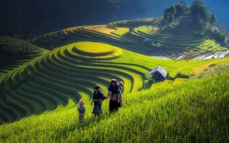 Vietnam en aventura con Ninh Binh y Sapa en español