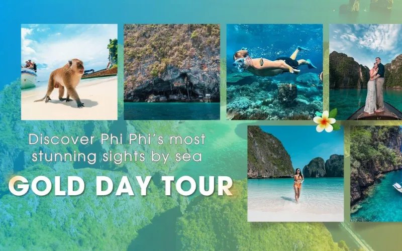 Viva o tour completo com o Gold Day Tour