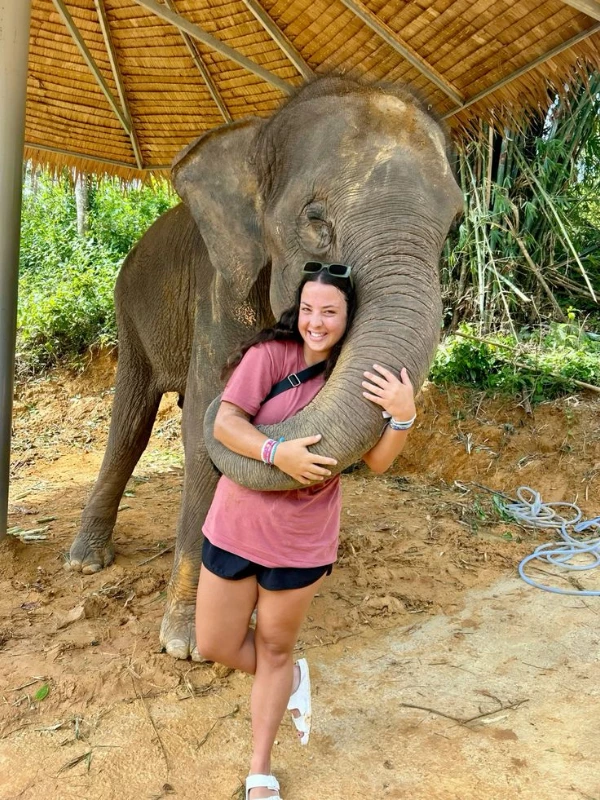 A Tailândia tem centros éticos de cuidado com elefantes