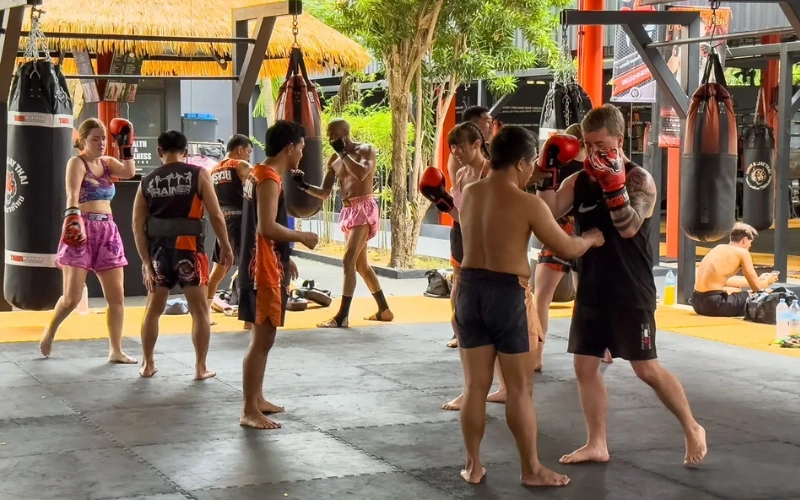 Aprenda Muay Thai no Tiger com mestres