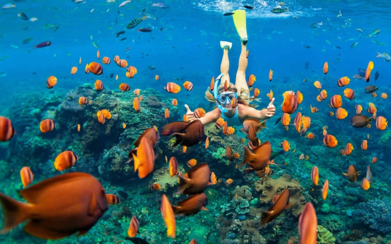 Para mergulho com snorkel, as áreas próximas a Kata Noi e Koh Pu possuem recifes de corais repletos de vida marinha diversificada, perfeitos para a exploração subaquática