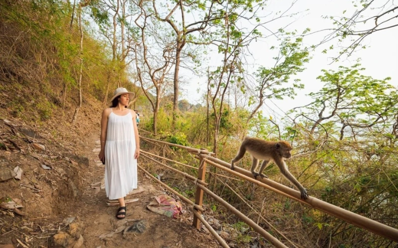 Caminhe na Monkey Trail e sinta a natureza