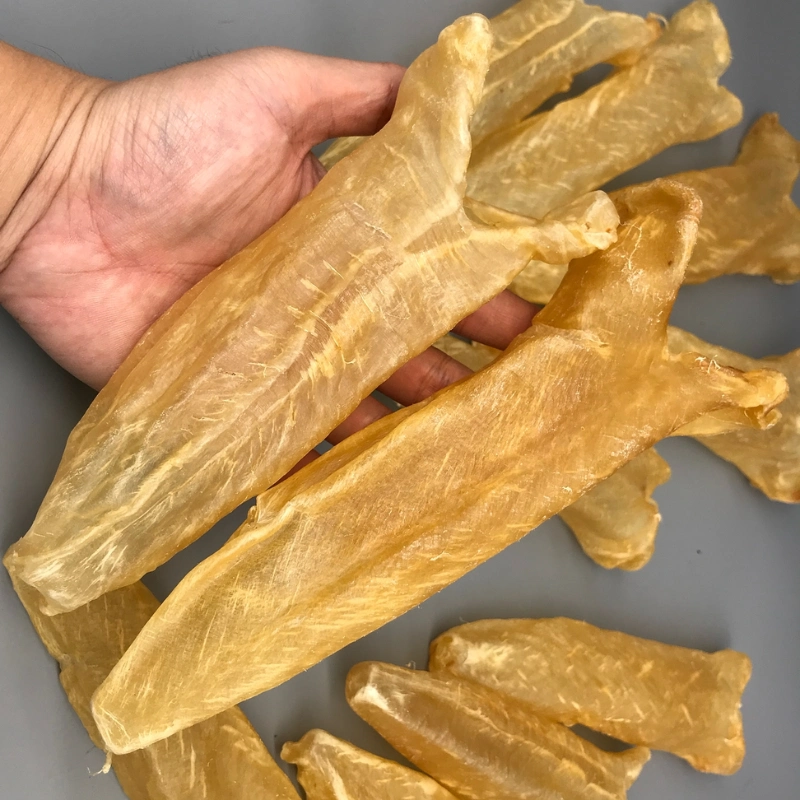 Coma bexiga de peixe seca e macia