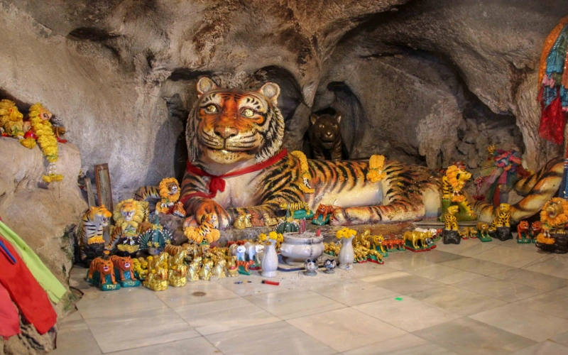 Lenda fala de tigre que viveu na caverna
