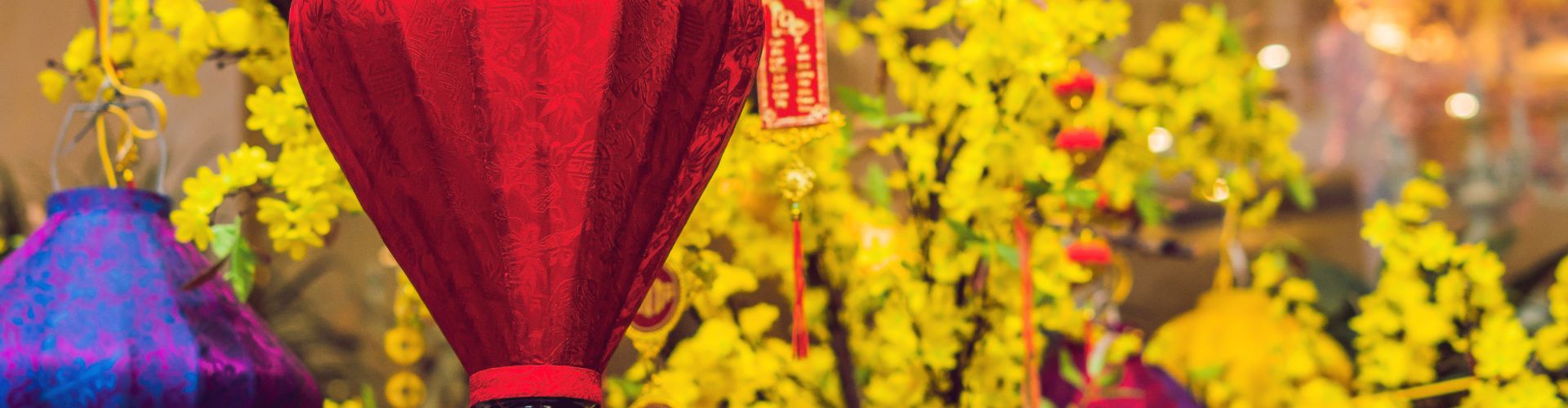 Celebración del Año Nuevo