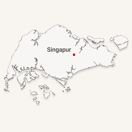 singapur-destinos