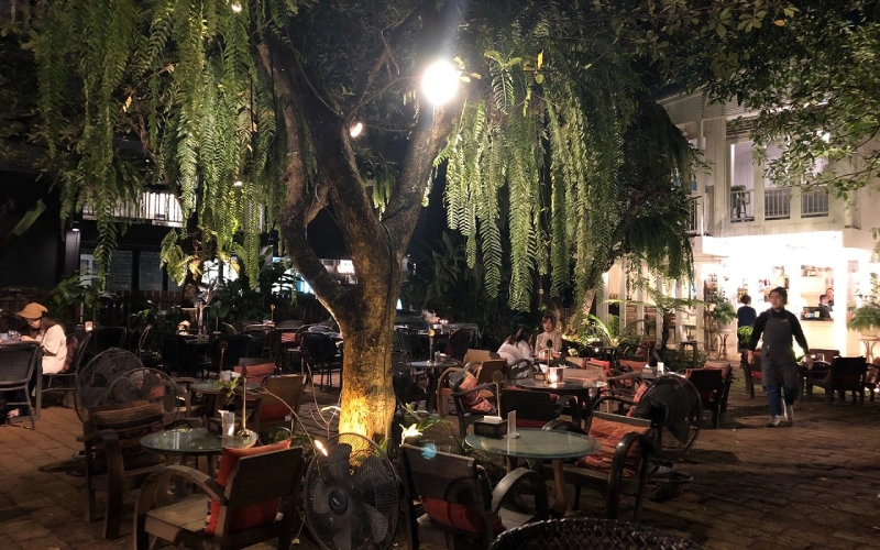 Fern Forest relaxa com sombra doces e jazz suave