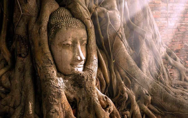 Wat Phra Mahathat une natureza e história de Ayutthaya