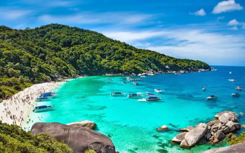 Águas claras e vida marinha vibrante esperam