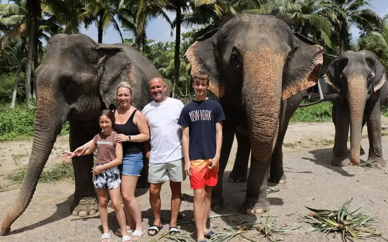 Conheça elefantes no santuário de Ao Nang