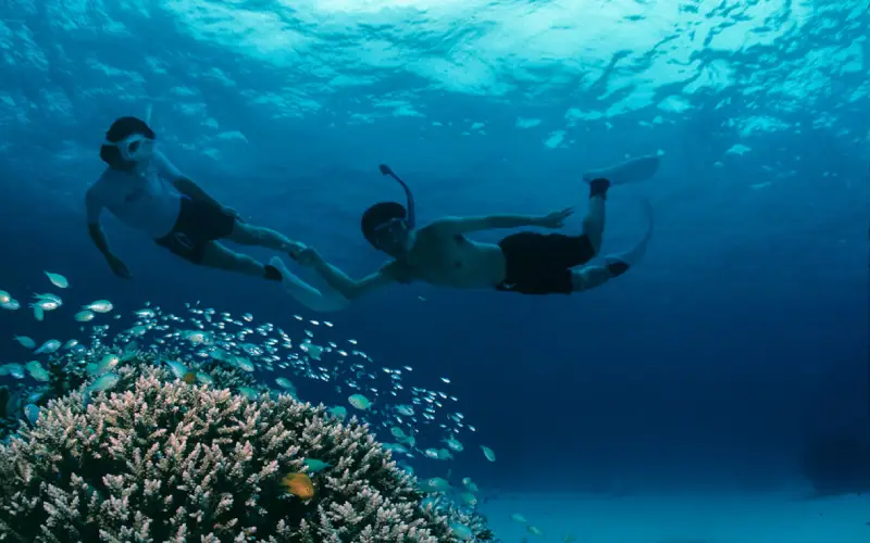 Verdadeiro tesouro de Similan são pontos de mergulho