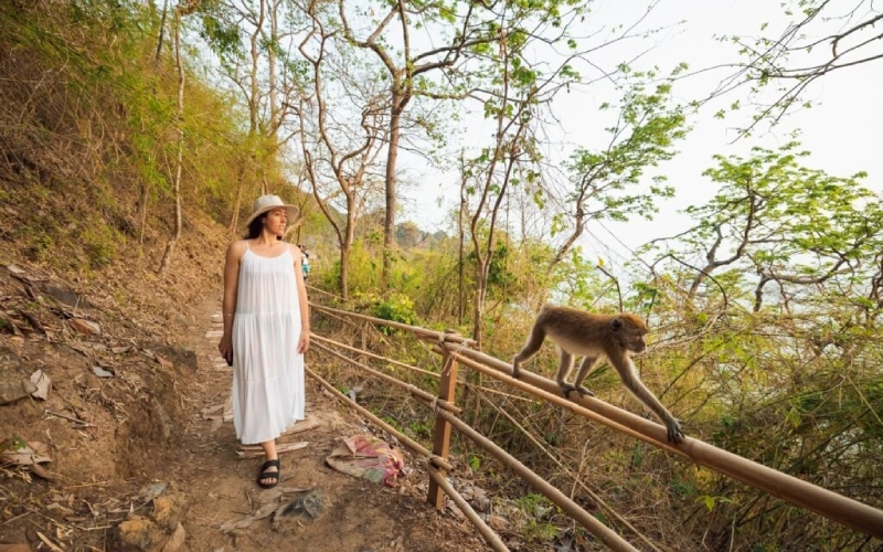 Caminhe na Monkey Trail e sinta a natureza